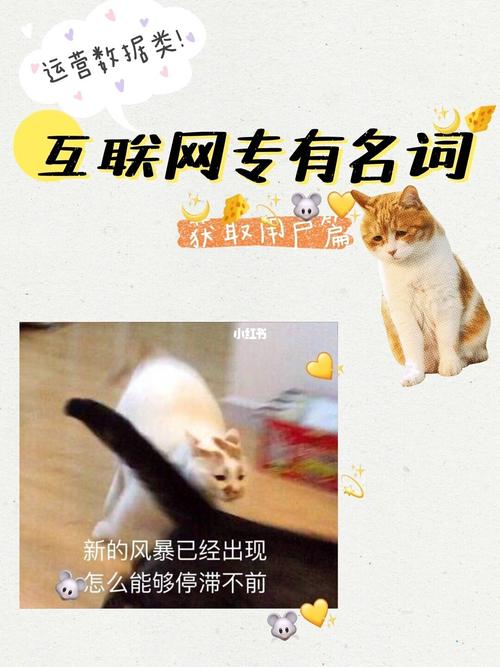 梦幻西游