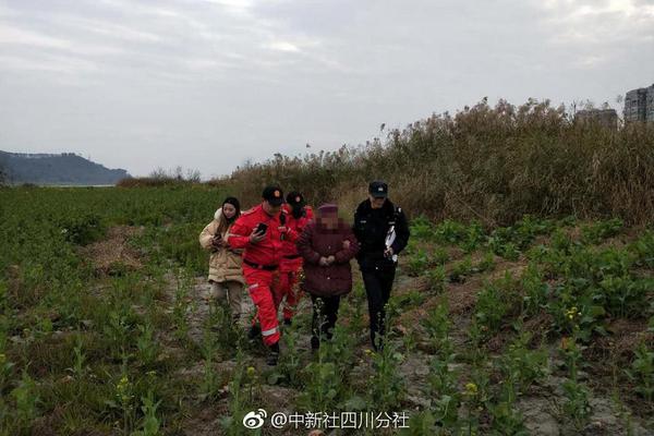 游戏截图1