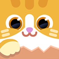 全球气候响应嵌入城市规划系统