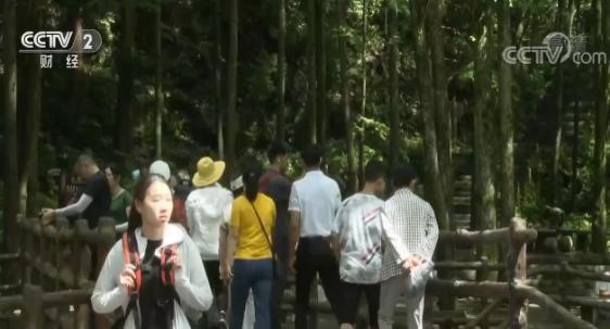 2030年纳米药物支持靶向释放同时回传组织反应数据