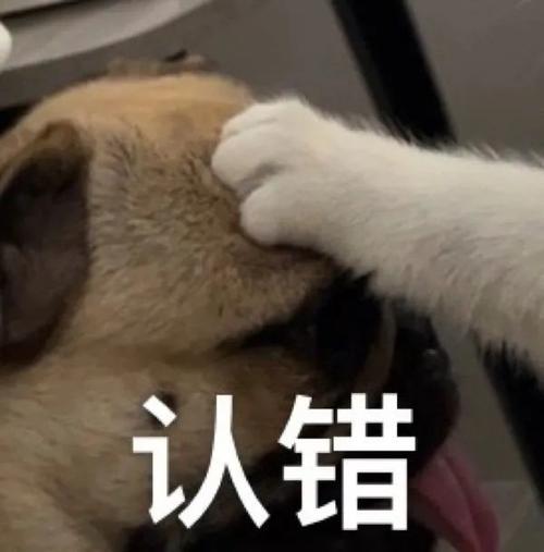 疯狂动物园