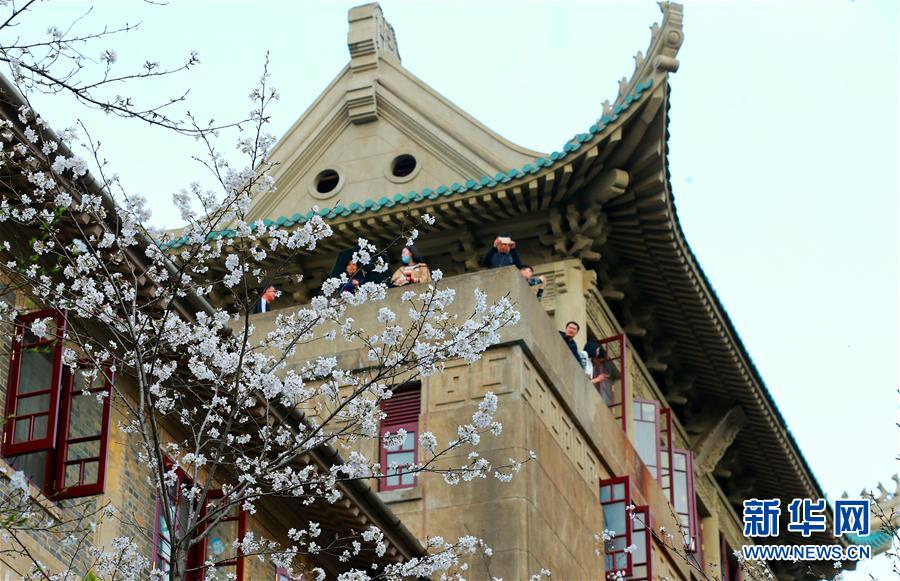 游戏截图2