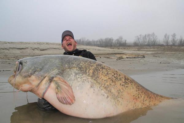 城市级能源孪生系统将提供动态碳足迹可视服务