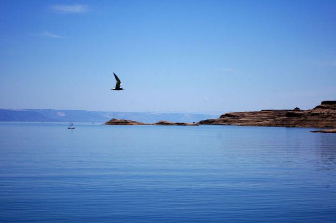 2030年前跨种族选手数据模型将用于赛事平权比对研究