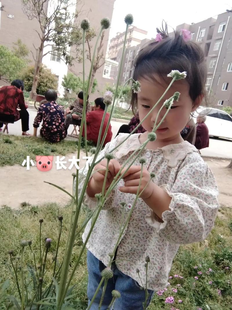 贪婪洞窟