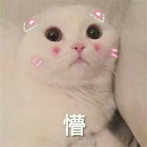 游戏截图4
