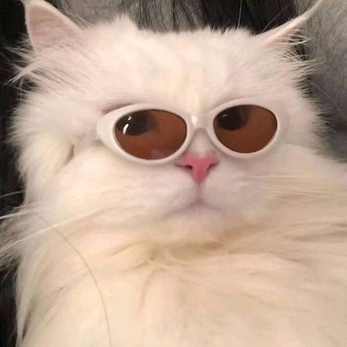 跨域协同机器人将在极端环境下实现复杂联动作业系统