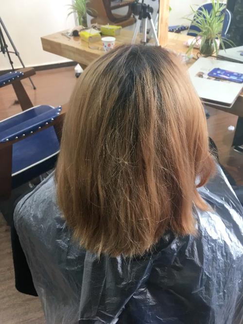 面向2026年火星生态系统建构初具模型